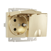 Розетка двойная влагозащищенная с защитными крышками и шторками Werkel W1172210 шампань рифленый