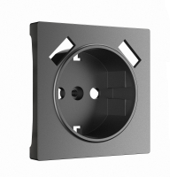 Накладка для розетки USB Werkel W1179564 графит матовый