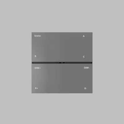 Фото Настенная панель управления Denkirs Control BT DK7201-DG