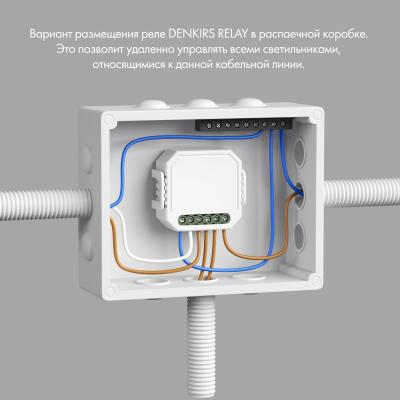 Фото Одноканальное Wi-Fi реле выключатель Denkirs Relay RL1001-SM/1