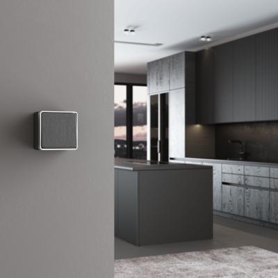 Фото Выключатель одноклавишный проходной Werkel Gallant W5012004 графит рифленый