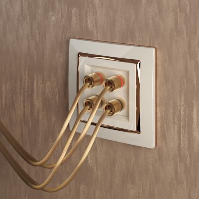 Фото Рамка из поликарбоната на 1 пост Werkel Snabb W0011932 слоновая кость/золото