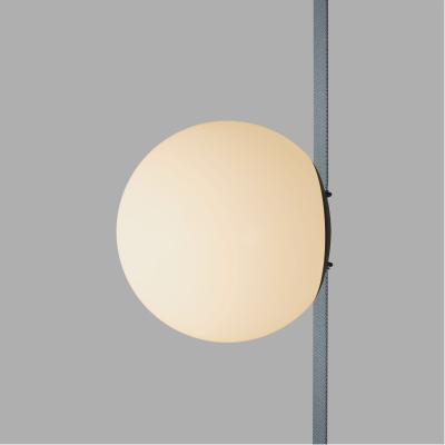 Фото Трековый светильник Denkirs Belty Orb DK5551-BK