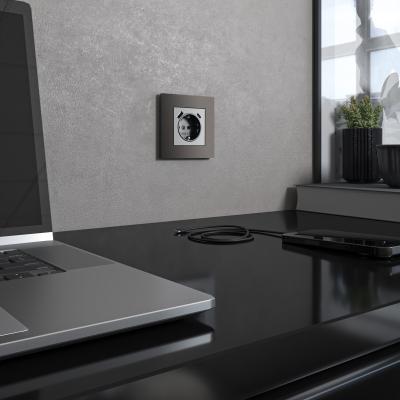 Фото Рамка из поликарбоната на 1 пост Werkel SlabW0012963 бронза софт