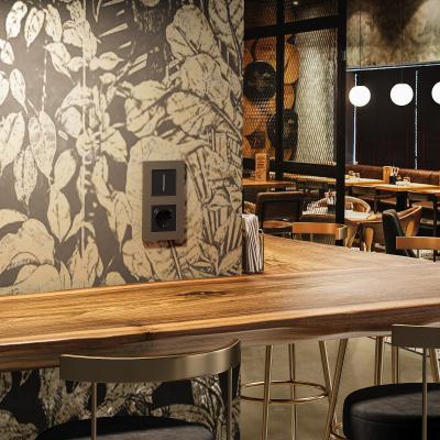 Фото Рамка из поликарбоната на 2 поста Werkel Slab W0022963 бронза софт