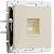Розетка Ethernet RJ-45 Werkel W1181043 айвори акрил