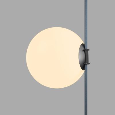 Фото Трековый светильник Denkirs Belty Orb DK5555-BK