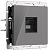 Розетка Ethernet RJ-45 Werkel W1181044 графит акрил