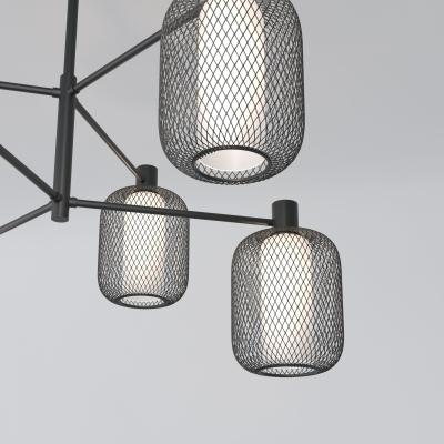 Фото Потолочный светильник Eurosvet Voile 30191/6 черный