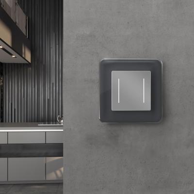 Фото Рамка из стекла на 1 пост Werkel Elite W0012440 графит