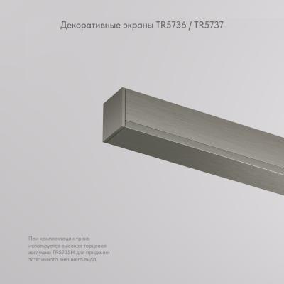 Фото Декоративная заглушка желоба трека Denkirs Shine Base TR5736-DN