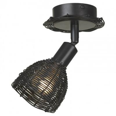 Потолочный светильник Lussole Loft LSN-1011-01