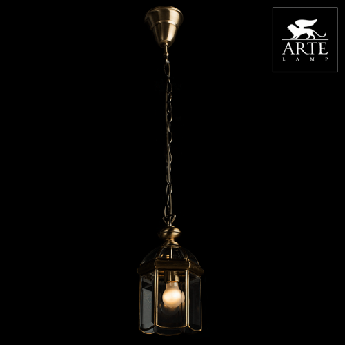 Фото Подвесной светильник Arte Lamp Rimini A6501SP-1AB