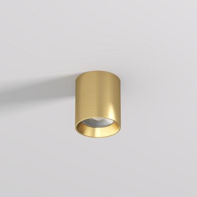 Фото Накладной точечный светильник Denkirs Shine Tube DK2610-SB