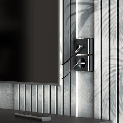 Фото ТВ-розетка оконечная Werkel Gallant W5083035 черный/хром