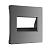 Накладка для двойной розетки Еthernet RJ-45 Werkel W1191164 графит матовый