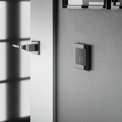 Фото Сенсорный выключатель двухклавишный с подсветкой 1000 Вт Werkel W4520008 черный