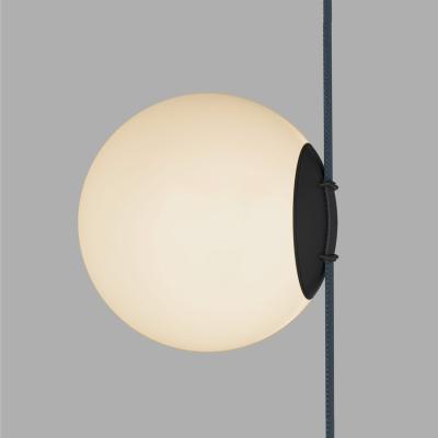 Фото Трековый светильник Denkirs Belty Orb DK5553-BK