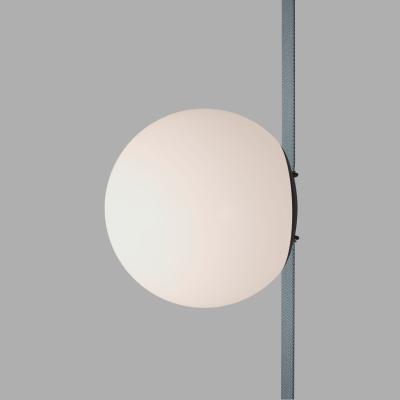 Фото Трековый светильник Denkirs Belty Orb DK5550-BK