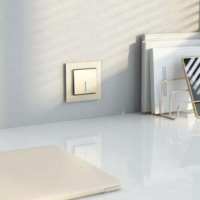 Фото Выключатель одноклавишный с подсветкой Werkel W1110111 шампань