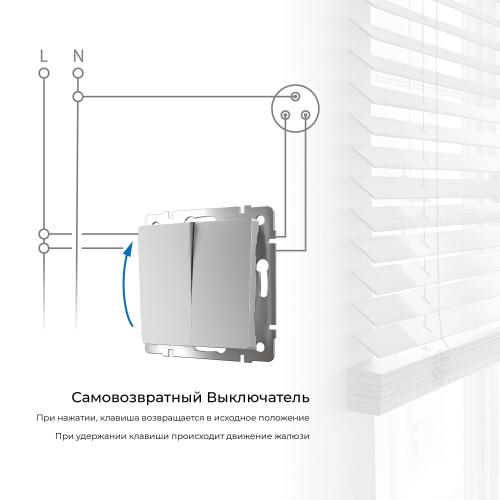 Фото Выключатель двухклавишный с самовозвратом Werkel W1122406 серебряный