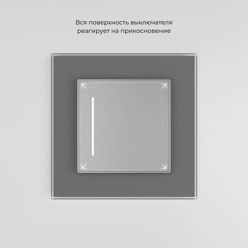 Фото Умный сенсорный выключатель одноклавишный Werkel W4513006 серебряный