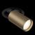 Фото Maytoni Focus S C048CL-1BBZ встраиваемый точечный светильник