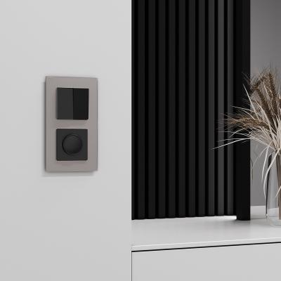 Фото Рамка из стекла на 2 поста Senso Werkel W0023117 дымчатый soft-touch