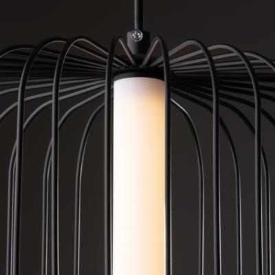 Фото Подвесной светильник Freya Sabi FR6131PL-L13B