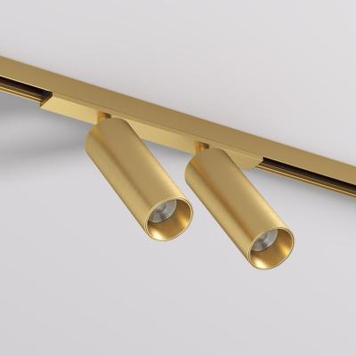 Фото Трековый светильник Denkirs Shine Spot DK5742-SB