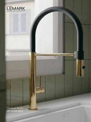 Фото Смеситель для кухни с гибким изливом Lemark Beluga LMF-8074B-BRLG, золото