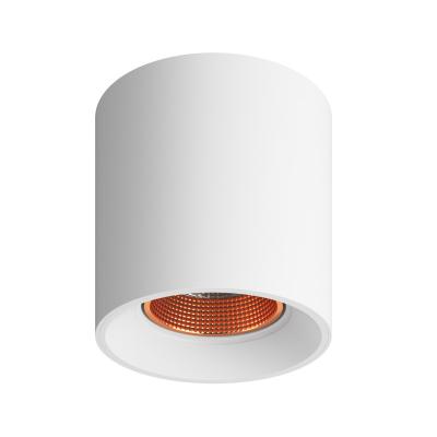 Фото Накладной точечный светильник Denkirs Rodvig DK3090-WBR