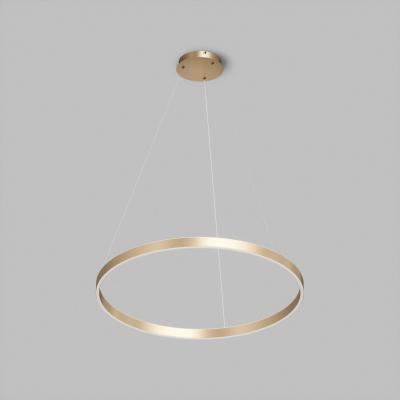 Фото Подвесной светильник Denkirs Raydia DK6272-SG