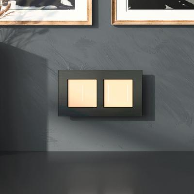 Фото Рамка из металла на 2 поста Werkel АluMax W0023508 черный алюминий