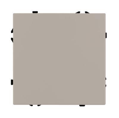 Фото Выключатель одноклавишный Arlight Nobe 059426 кашемир