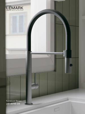 Фото Смеситель для кухни с гибким изливом Lemark Beluga LMF-8074B-GM, графит