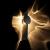 Фото Настенный светильник Loft IT Flame 10452W Black sand