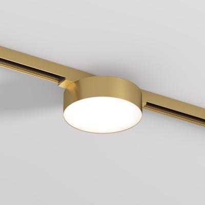 Фото Трековый светильник Denkirs Shine Flow DK5762-SB