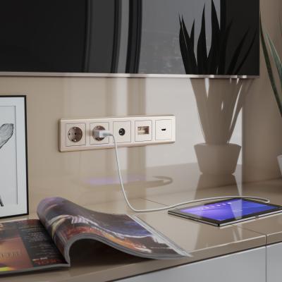 Фото ТВ-розетка оконечная Werkel W1183010 шампань рифленый