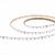 Фото Светодиодная лента SMD5050 24V St Luce ST019.318.20RGBW 17.28W