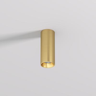 Фото Накладной точечный светильник Denkirs Shine Tube DK2615-SB