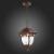 Фото St Luce Chiani SL083.703.01 подвесной уличный светильник
