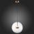Фото St Luce Bopone SL1133.223.01 подвесной светодиодный светильник
