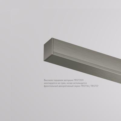 Фото Торцевая заглушка для трека Denkirs Shine Base TR5735H-DN