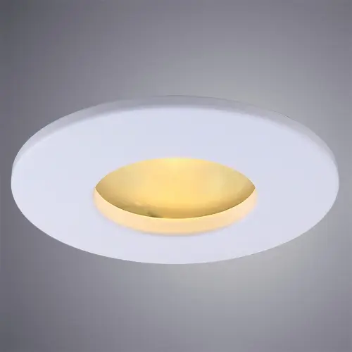 Фото Светильник встраиваемый Arte Lamp AQUA A5440PL-1WH