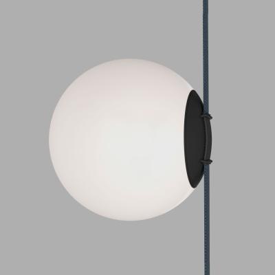 Фото Трековый светильник Denkirs Belty Orb DK5552-BK