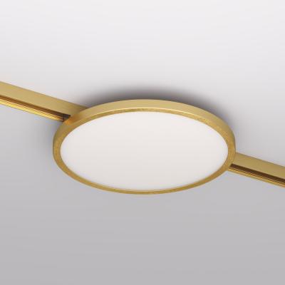 Фото Трековый светильник Denkirs Shine Flow DK5763-SB