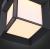 Фото St Luce Cubista SL077.401.01 потолочный уличный светодиодный светильник