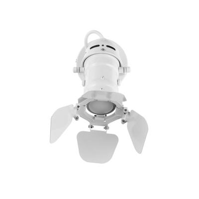 Фото Спот Loft IT Cinema Loft2096-S