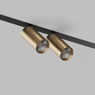 Фото Трековый светильник Denkirs Smart Spot DK8012-BG